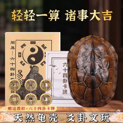 新款天然龟壳卜卦文玩